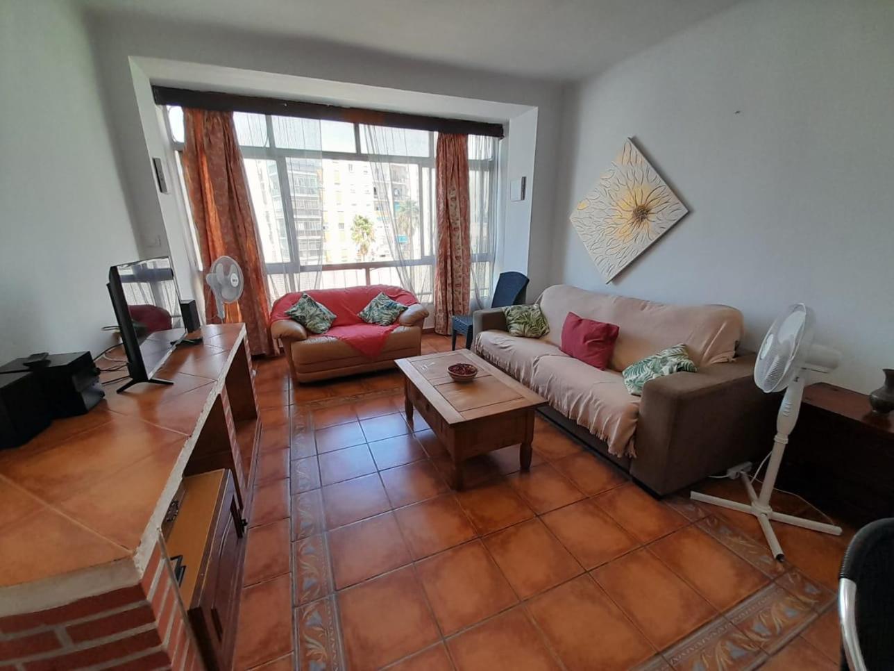 Orchid Of Appartement Estepona