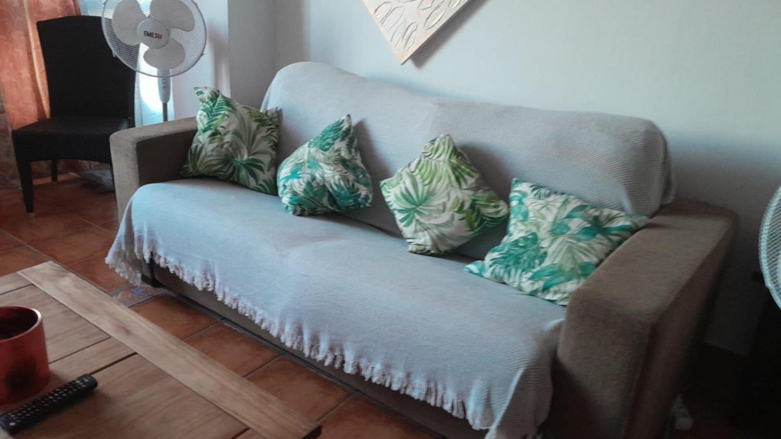 Orchid Of Appartement